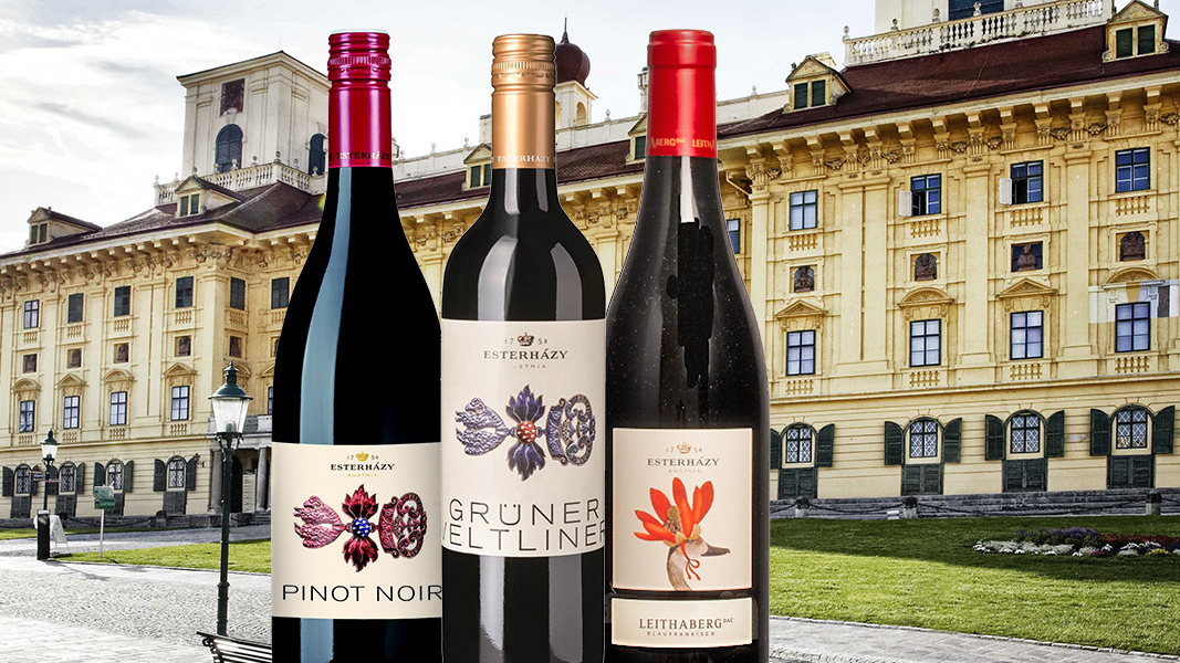 39 Esterhazy Adelijk goede wijnen