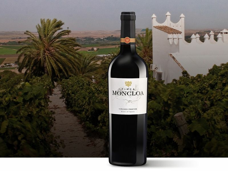 https://server01.winelist.nl/media/cache/16x9_thumb/media/image/article-overview/30-Finca-Moncloa-blogbanner1.jpg