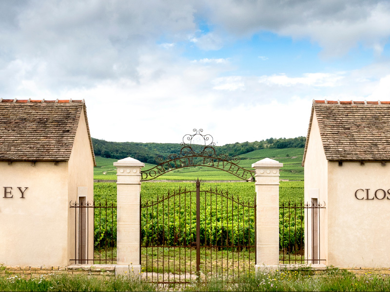 https://server01.winelist.nl/media/cache/16x9_thumb/media/image/brand-banner/80-Domaine-Faiveley-blogbanner-z-tekst.jpg