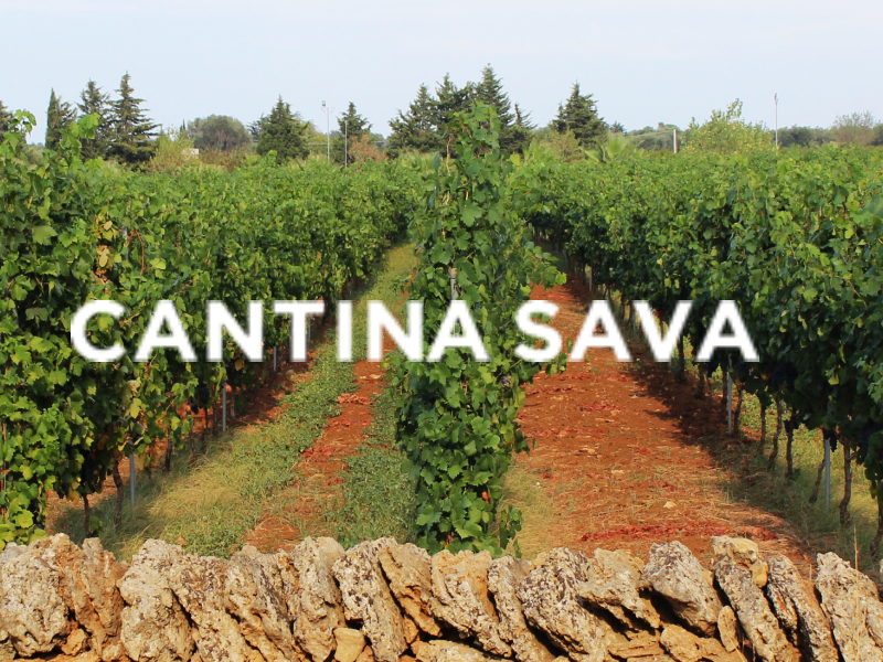 https://server01.winelist.nl/media/cache/16x9_thumb/media/image/brand-banner/Cantina_SavA_blogbanner.jpg