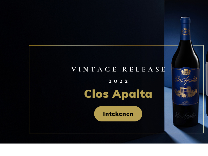 https://server01.winelist.nl/media/cache/16x9_thumb/media/image/home-banner/clos_apalta_2022_blogbanner_2.jpg