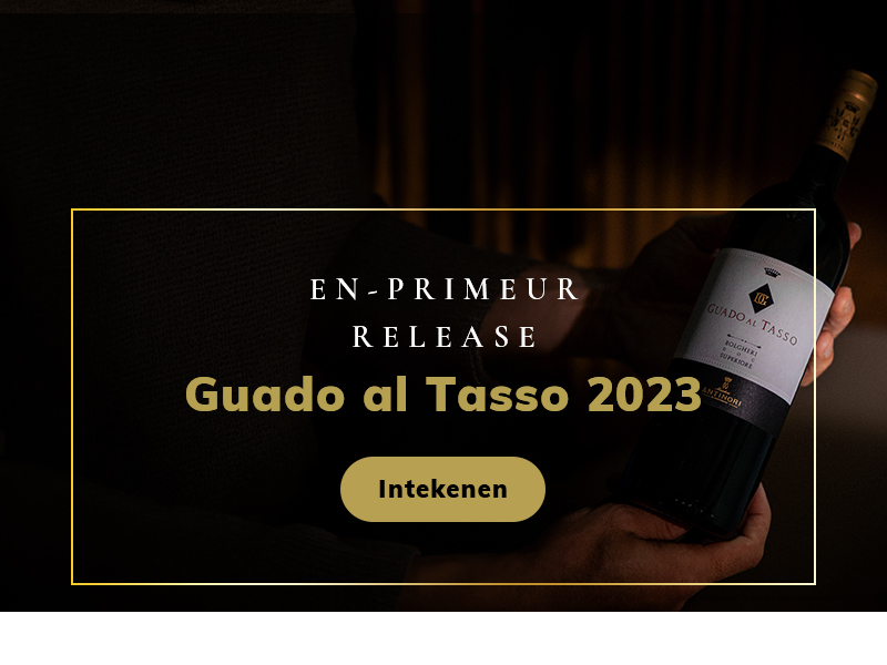 https://server01.winelist.nl/media/cache/16x9_thumb/media/image/home-banner/guado%20al%20tasso%20banner-2.jpg
