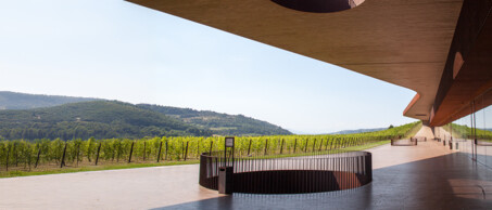 bestsellers antinori blogbanner tekst