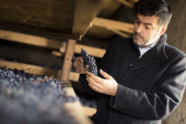 Appassimento MASI (2)