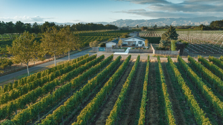 Rimapere Marlborough New Zealand JTP©