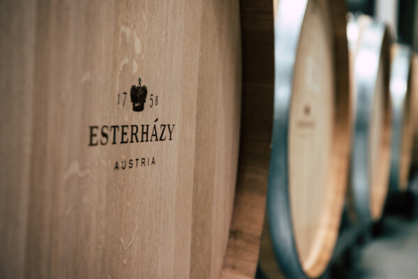 WG Weinlese2017©ezy.krea HQ 70